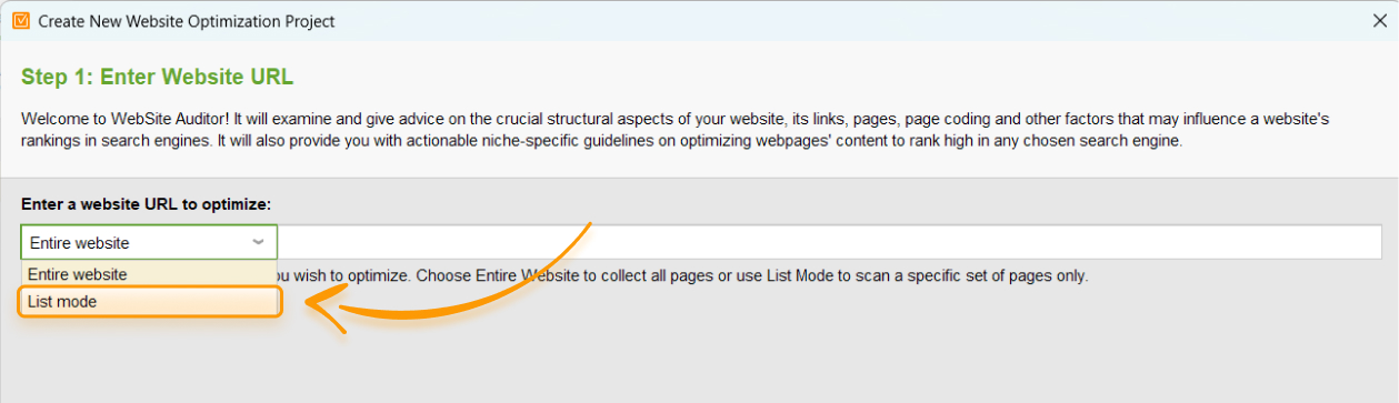 List Mode in WebSite Auditor