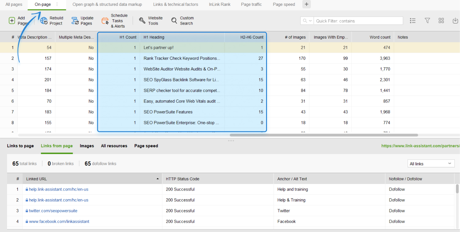 website auditor's dashboard with H1-H6 columns highlighted