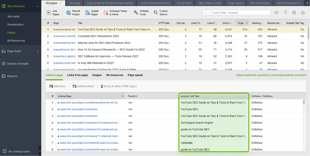 auditing internal anchor texts