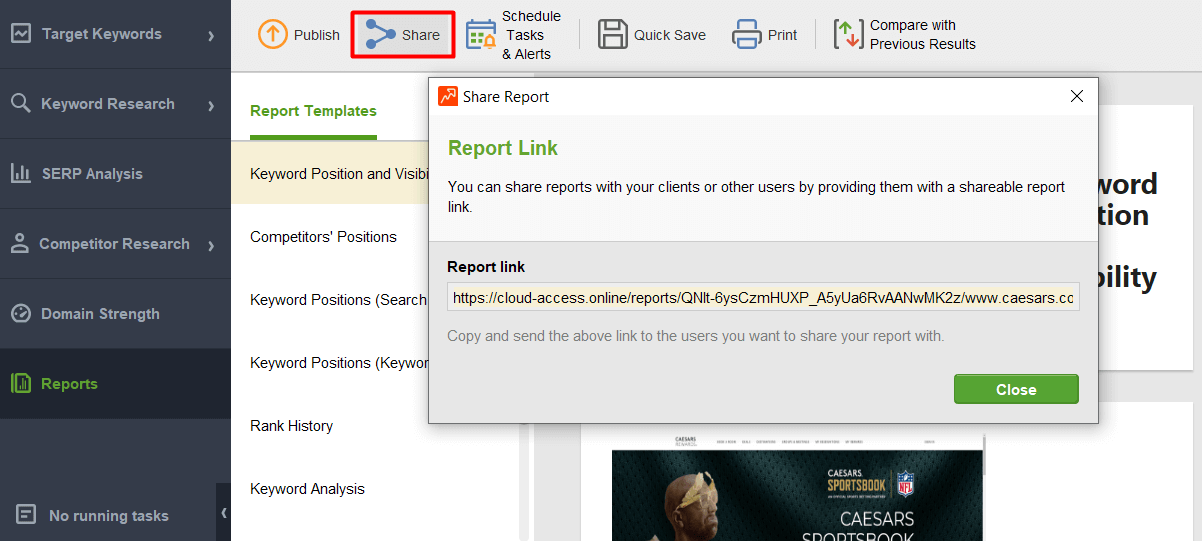 get a shareable report link
