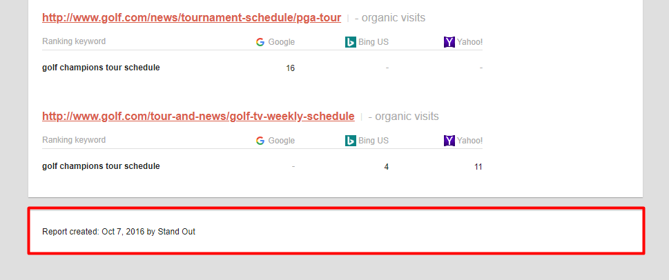 company name in the report footer