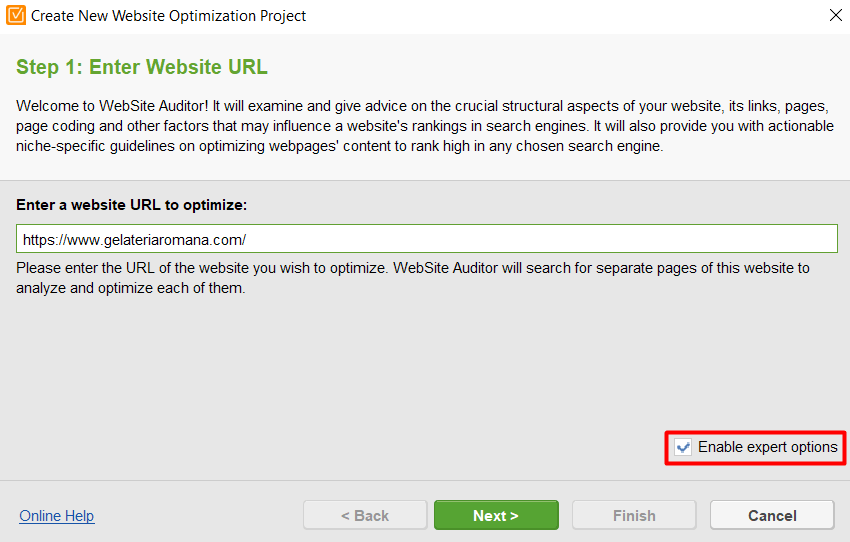 redirect errors on website auditor