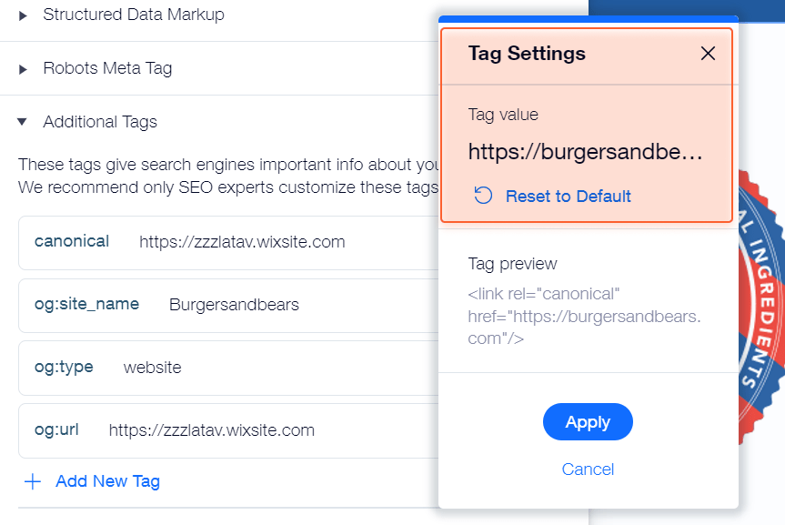changing canonical tag