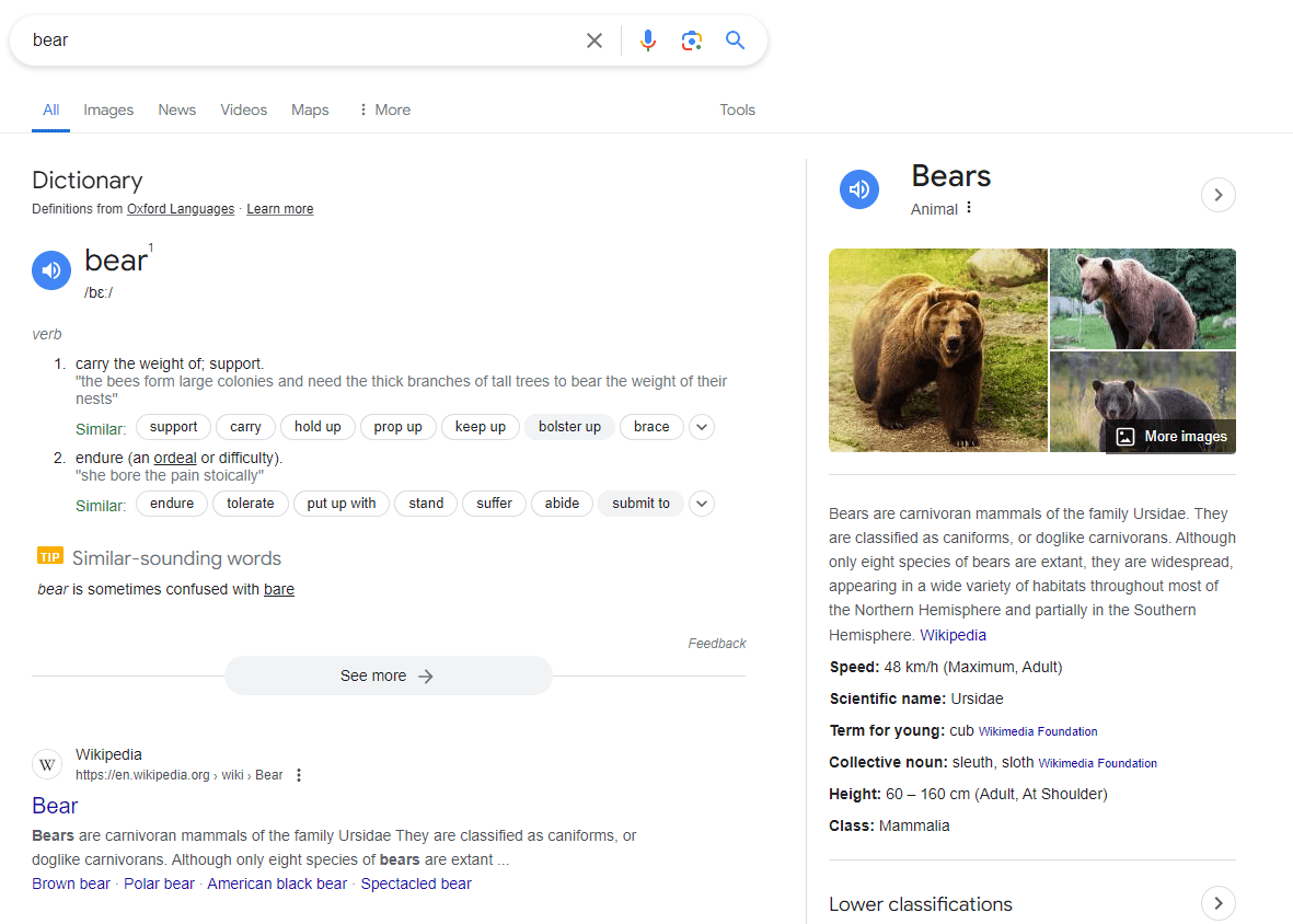 bear