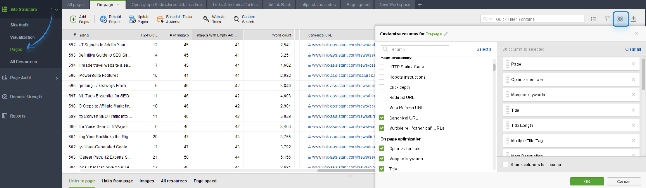 adding columns in WebSite Auditor