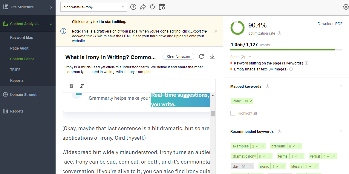 website auditor content editor