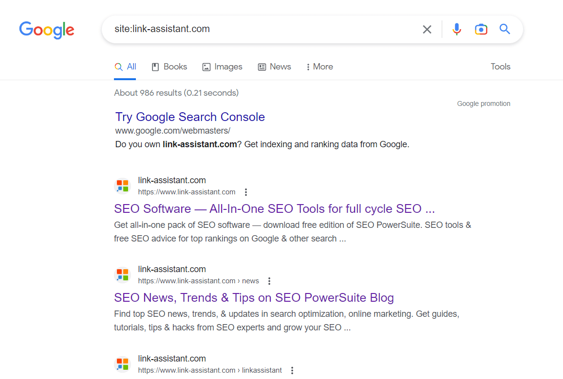 Site search operator returns all URLs that Google finds on your website